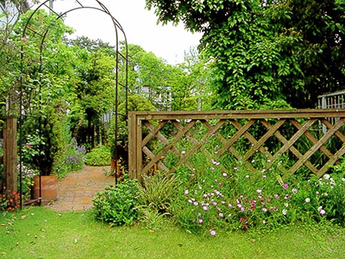 东莞园林绿化服务