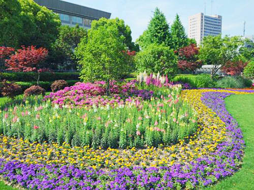 园林绿化养护工程